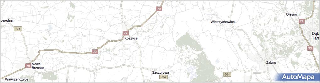 Księże Kopacze